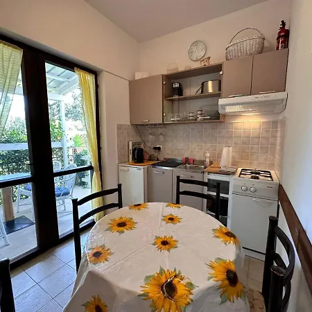 Cocolo Guest house *